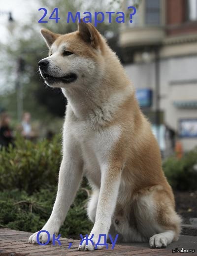 ��� 5. ���� ��� ������.