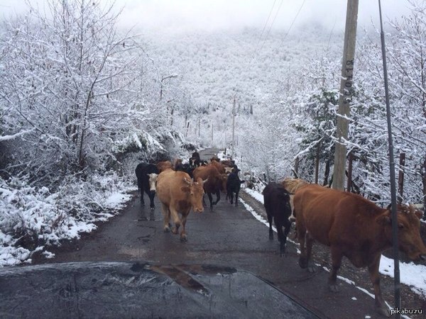 ���� �� ���