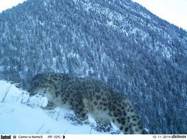 � ���������� �� ���������� �������� ����������� ������������� ���������� ����� - �������� �����