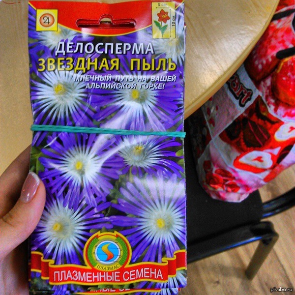 ����������, ������� ���� �� ����� ���������� �����..