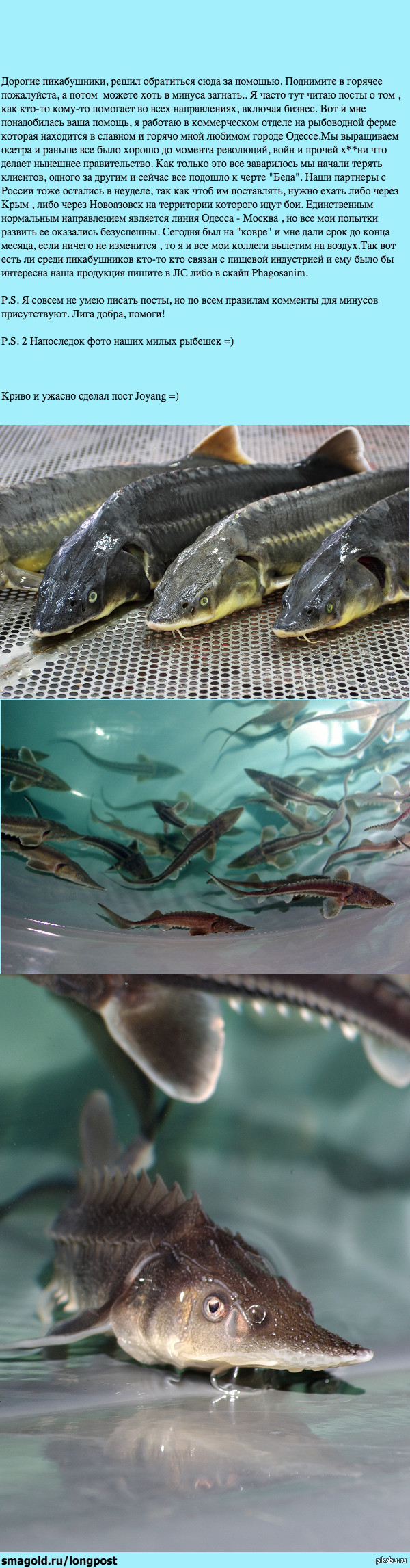 ���������� � ����� � ������� ������ ���������.