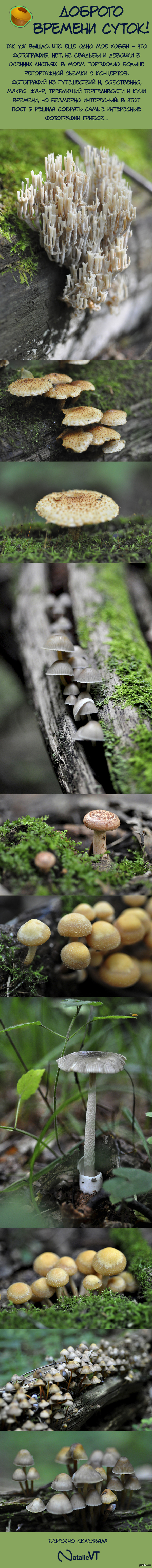 ���������� ������