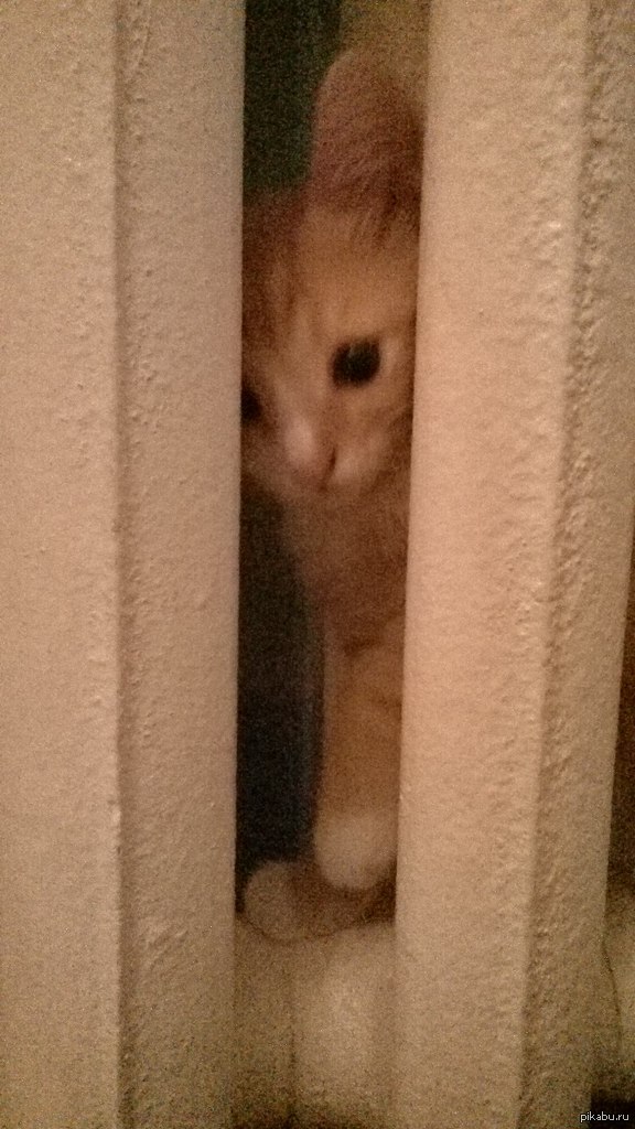 �������. �� ����� �����!