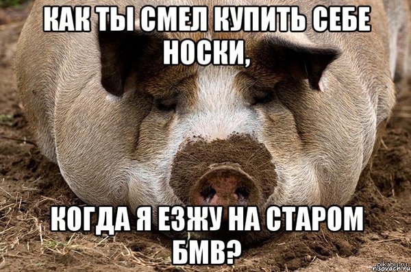 Девушки,что же у вас сейчас за запросы стали..