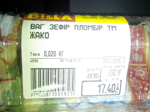 зефир из будущего