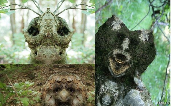 ������� + ���������� ��������� = ����������