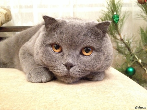 Фото прямо сейчас.