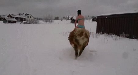 Где-то в Швеции