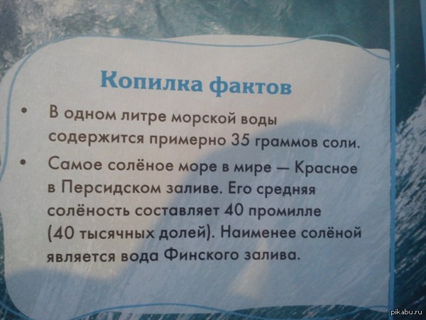 красное море в персидском заливе