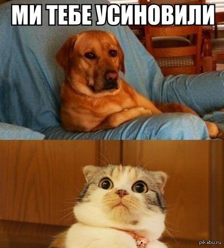 пап, мам что это означает ?!