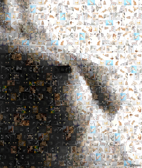 They say everyone loves cats and boobs on peek-a-boo... - NSFW, cat, Boobs, Mosaic, Black and white