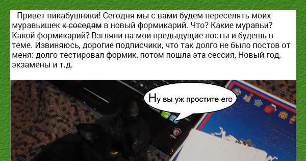 моему мнению правы. трахает девку сзади пока она продает лимонад полезная вещь