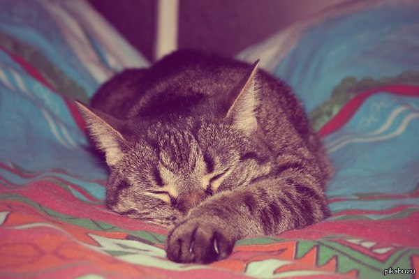 ���� ����� ������ - �����.