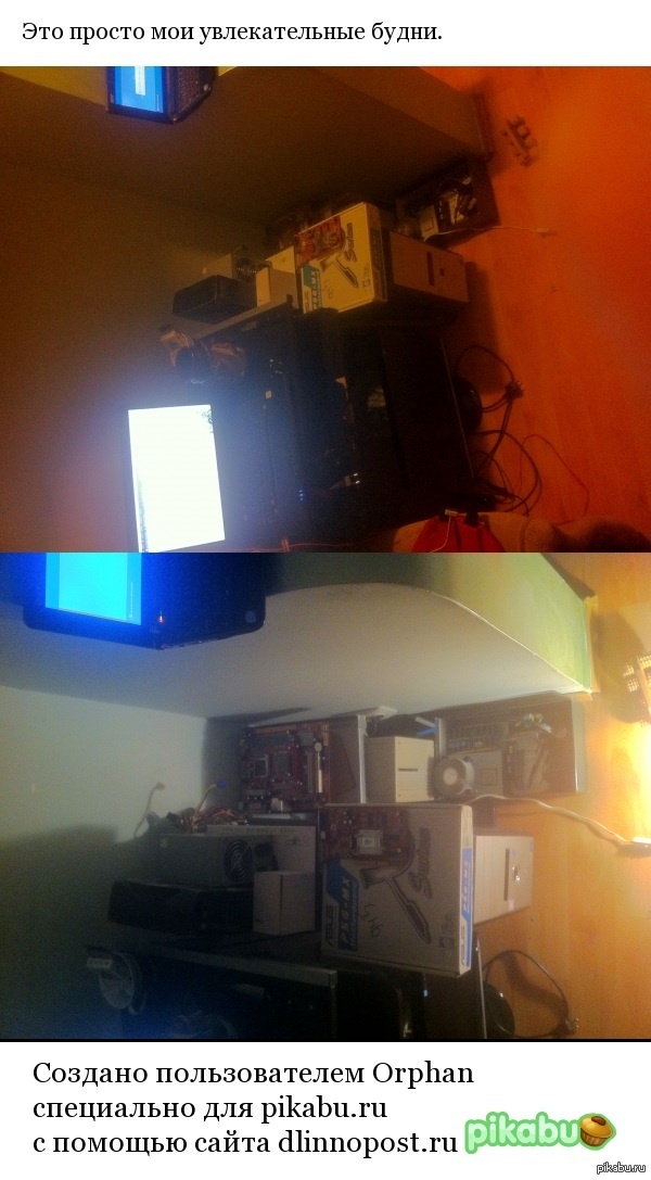 ����� ���� ���������