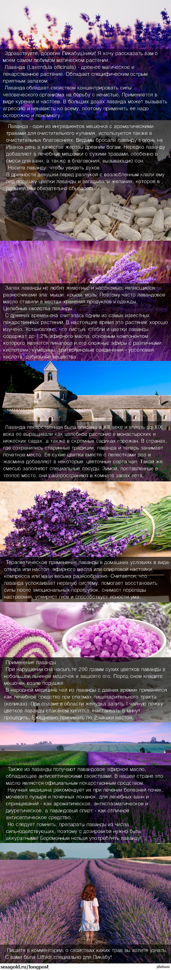 �������� � ���������� �����. �������