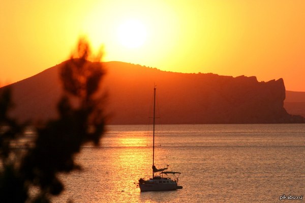 ������� ������� ����