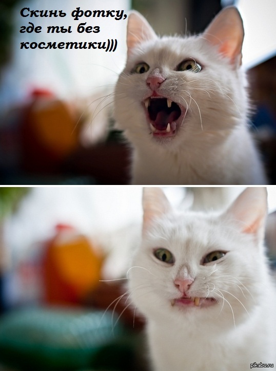 ���������.