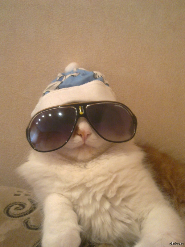 ���, ������ ��� !