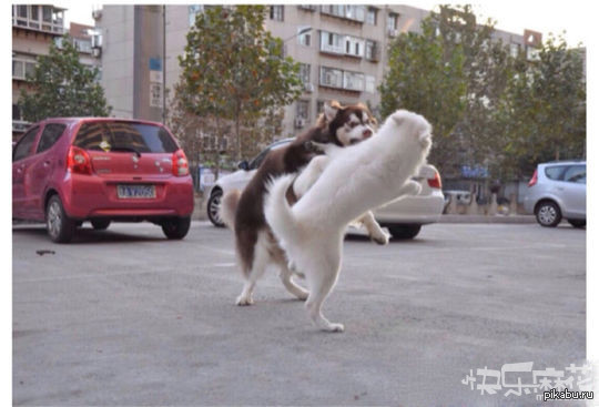 �����-�������!