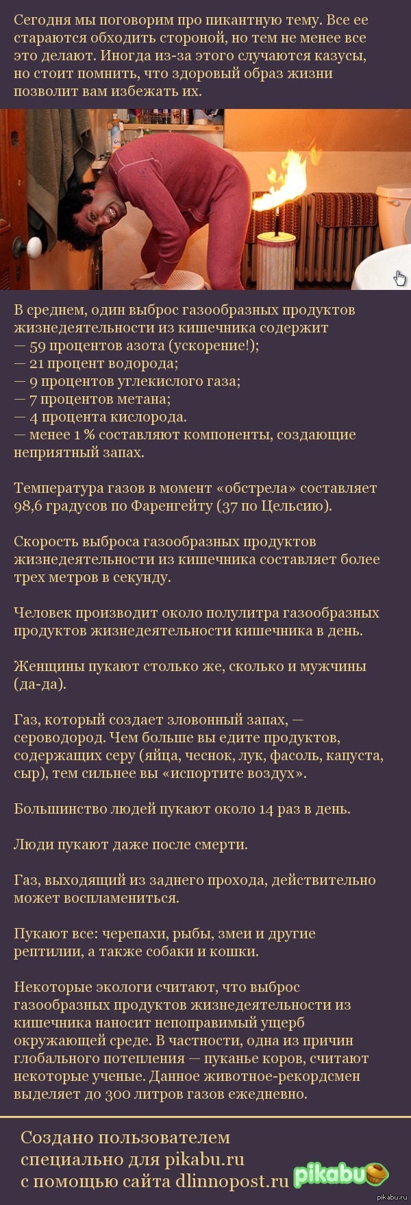 Пукалка: истории из жизни, советы, новости, юмор и картинки — Лучшее,  страница 35 | Пикабу