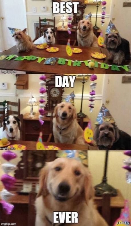 ����� ������ ����!