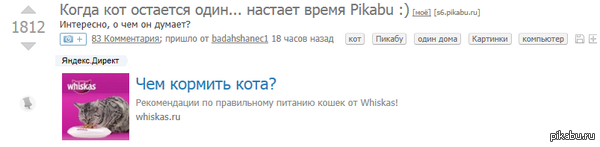 Для чего кот заходит на пикабу?