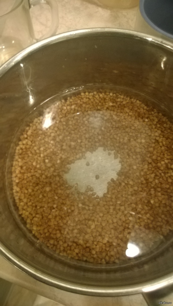 Я отлучился на две минуты, а гречка уже истроила гладиаторские бои