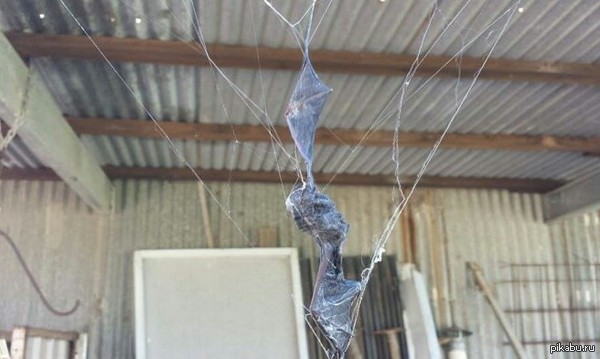 Batman vs. Spiderman