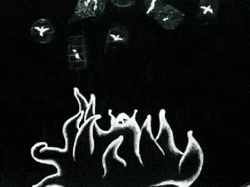    84 