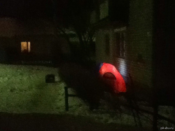 Недалеко от моего дома | Пикабу