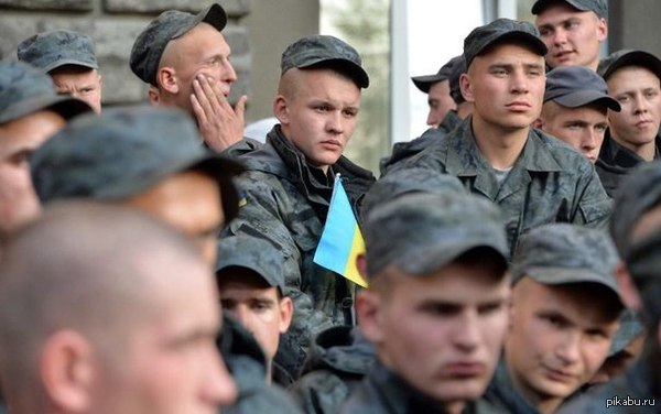 ���: ������������ ������� ����� ����������� ���������� ����������  �������� ������� RT �� �������:  http://russian.rt.com/article/70013