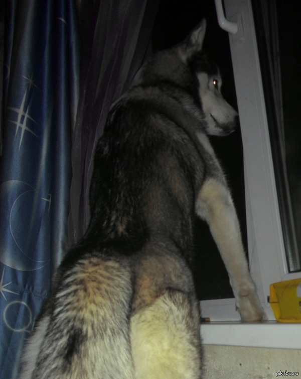 �� ������ ����� �������� � ������