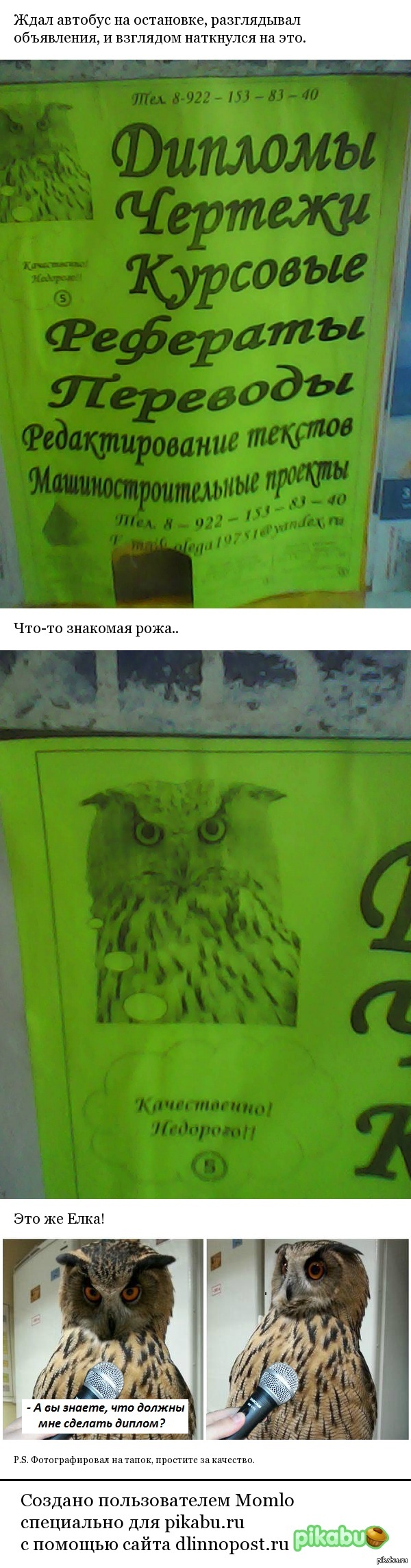 ������� �������.