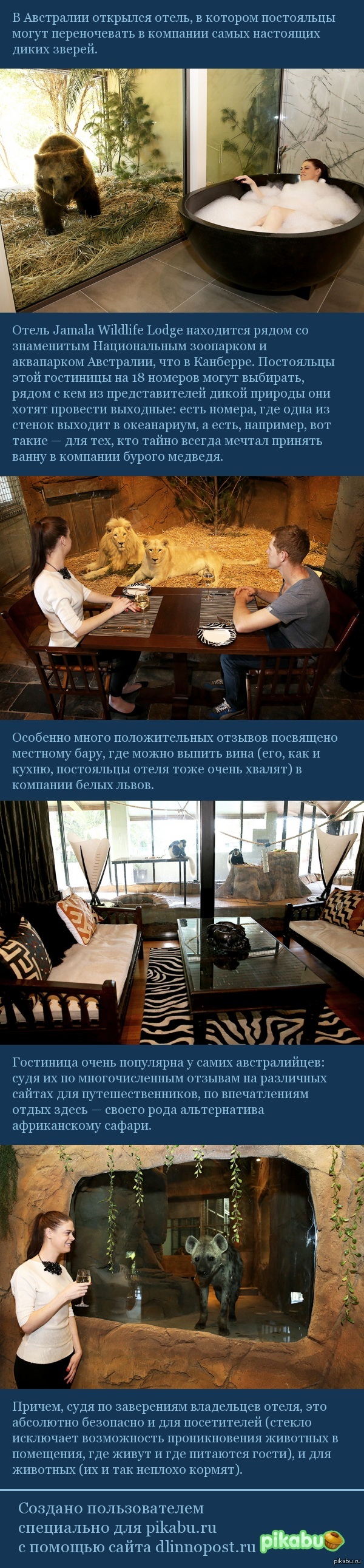 ������� ����� �����