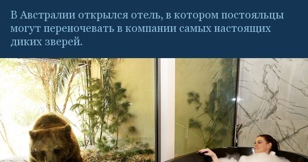 Зоопарк «семь звезд» | Пикабу