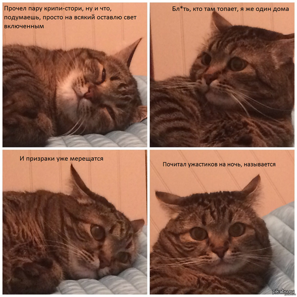 �������� ������� �� ����