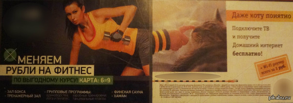 ���� ���� �������