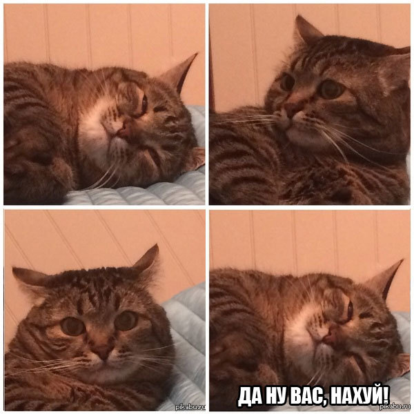 ��������, �� ���. �� ���������...