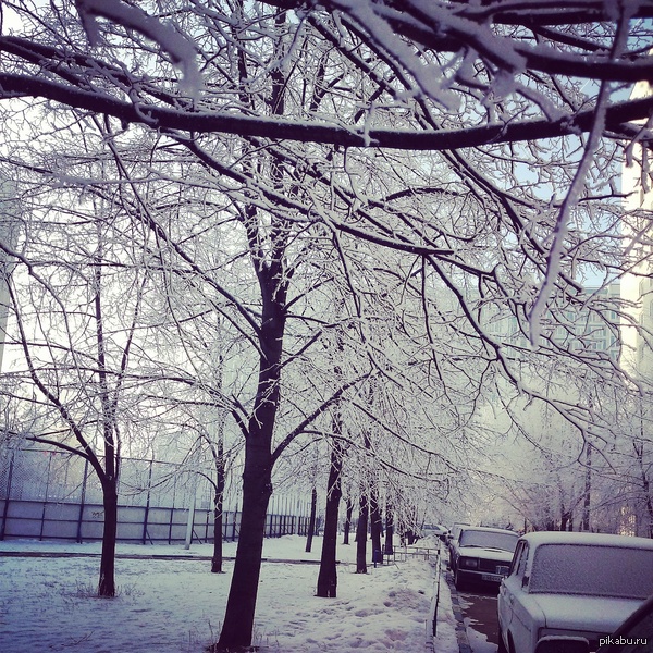 Всем морозца, зимней красоты и хорошего настроения!