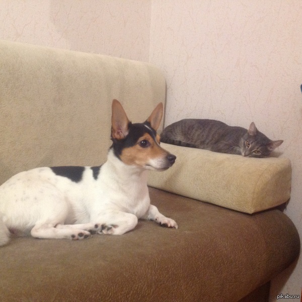 ������ �������� ��� �����