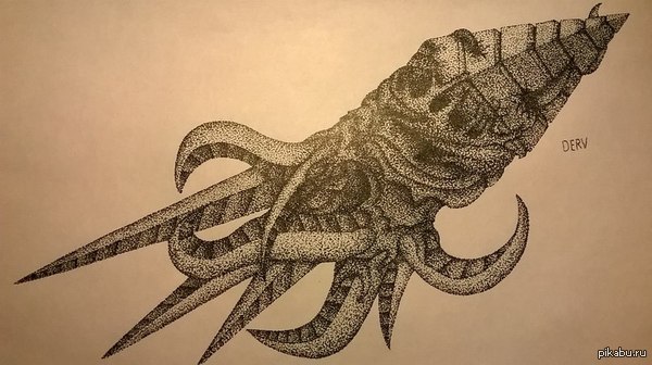 ��������������� ��������