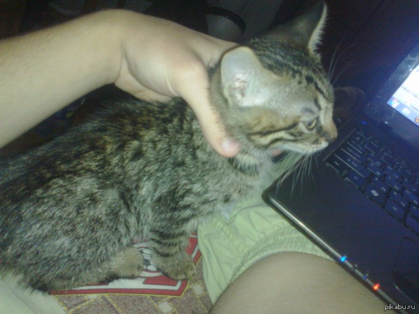 �������