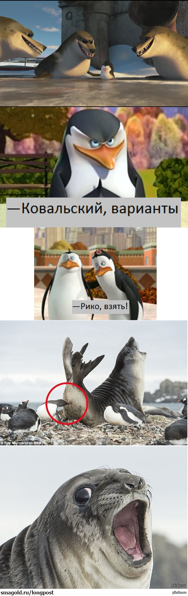     )    <a href="http://pikabu.ru/story/mest_pingvina_3023144">http://pikabu.ru/story/_3023144</a>