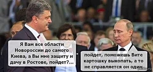 ��������)