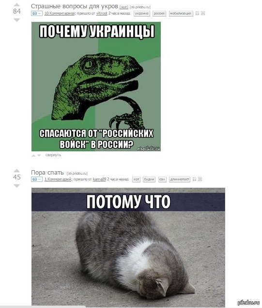 ������ ���