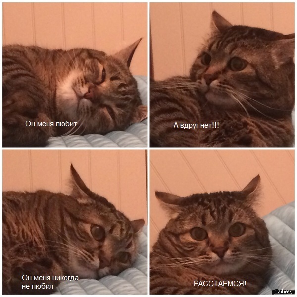 ���� �� ��������� � ������