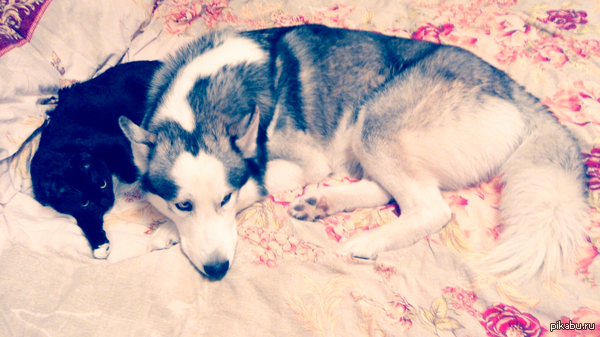 �������� ���� � �������, � ��� ����� �������^^