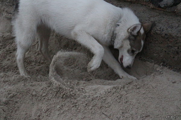 ��� ��������� �������� =)