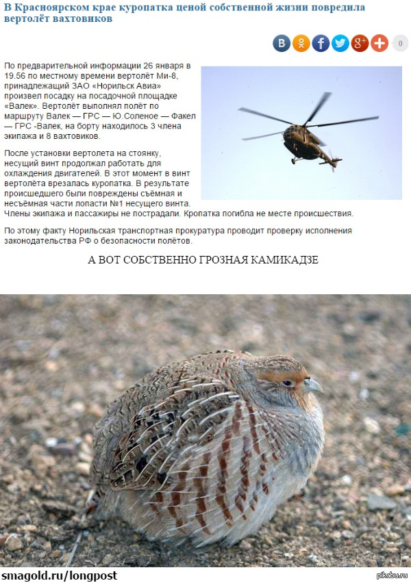 ��������� ��������� ��������� �������� �� �������