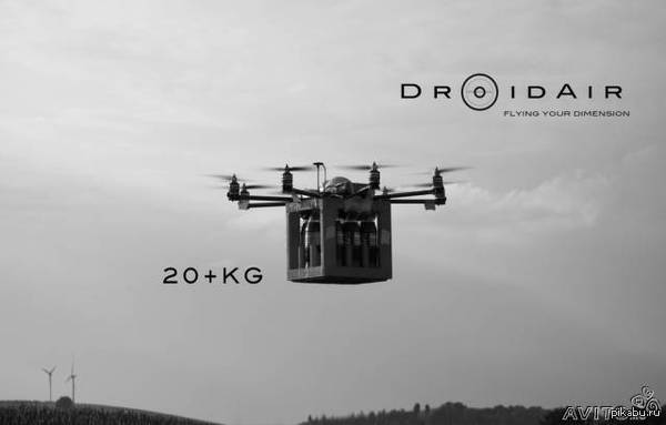 ������-����: �������� ������� ����������� ��������������